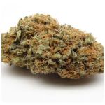 Шишки AK47  (Гидропоника, Бошка) VHQ во Владивостоке